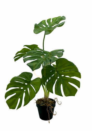 Jelölje be Mesterséges Monstera növény 65 cm