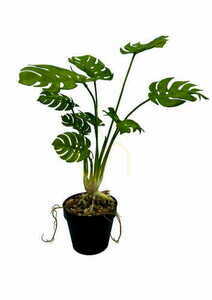 Mesterséges Monstera növény 53 cm small 4