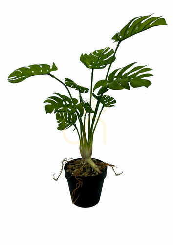 Jelölje be Mesterséges Monstera növény 53 cm