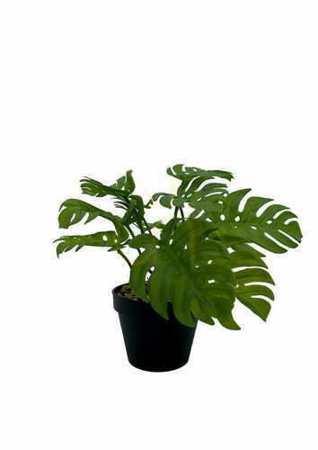 Jelölje be Mesterséges Monstera növény 20 cm