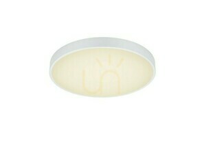 Trio WACO plafond 627415031 small 1