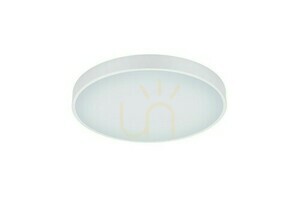 Trio WACO plafond 627415031 small 2