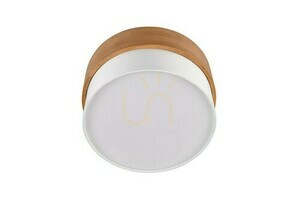 Trio SEASONS Plafond 611500201 small 3