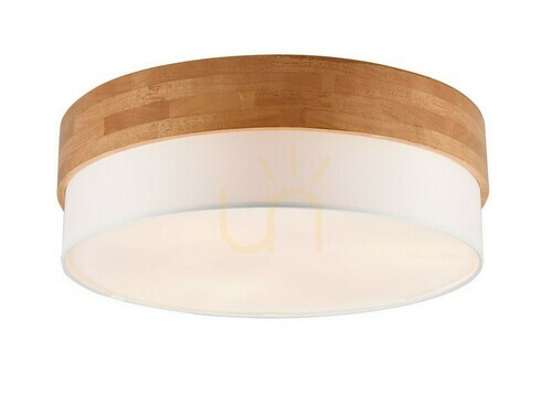 Jelölje be Trio SEASONS Plafond 611500301
