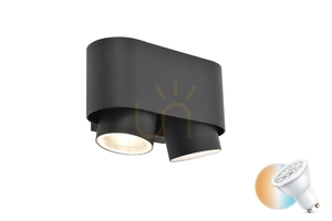 Kültéri fali lámpa Lutec CYPRES 6604003118 szürke alumínium 2x7W LED small 0