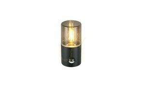 Trio HOOSIC kültéri fali lámpa - MOVEMENT SENSOR 222260132 small 4