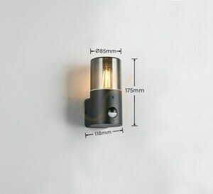 Trio HOOSIC kültéri fali lámpa - MOVEMENT SENSOR 222260132 small 7
