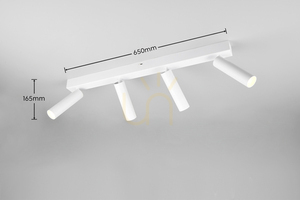 Trio AMBALA plafond 849210431 small 6
