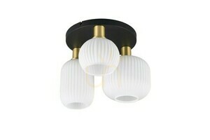 Trio DIVA Plafond 619800308 small 3