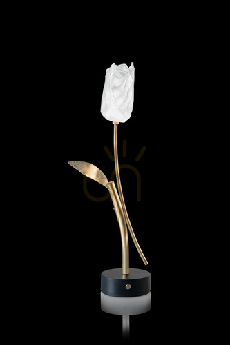 Jelölje be Slamp Tulip Modern lámpa elemes fekete alap.
