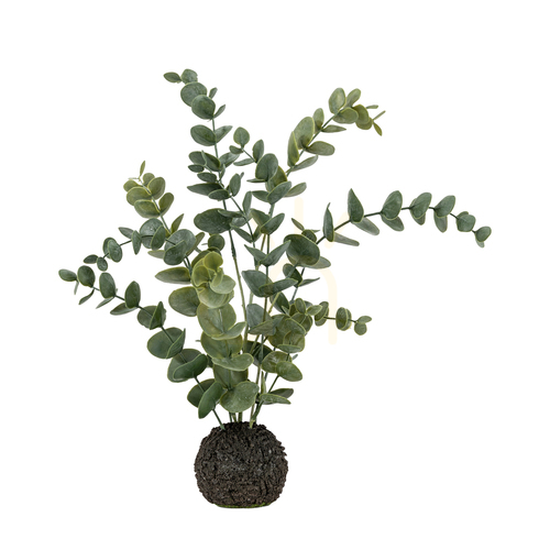 Jelölje be Műeukaliptusz cserépben Gallery Direct szürkészöld 46 cm 5059413872785