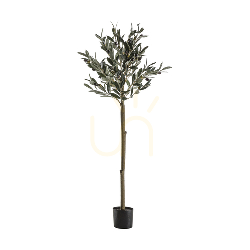 Jelölje be Műolajfa Gallery Direct zöld 121 cm