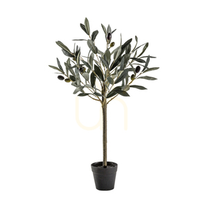 Műolajfa Gallery Direct zöld 60 cm 5059413399824 0 Műolajfa Gallery Direct zöld 60 cm 5059413399824 small 0