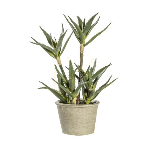 Jelölje be Mű aloe cserepes növény zöld 38 cm Gallery Direct 5059413399176