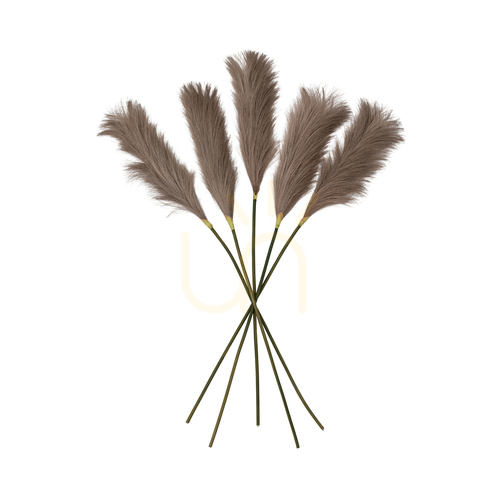 Jelölje be Műtoll dekorációs szár Gallery Direct Goma Soft Feather barna 72 cm 5 db