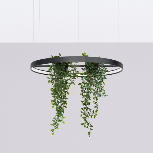 Jelölje be RIO BIO 78 fekete LED 4000K csillár