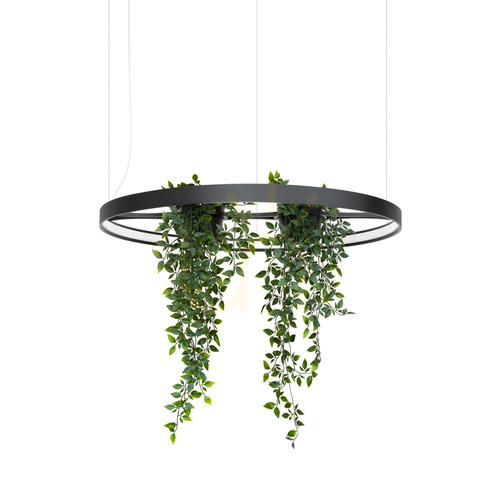 Jelölje be RIO BIO 78 fekete LED 4000K csillár