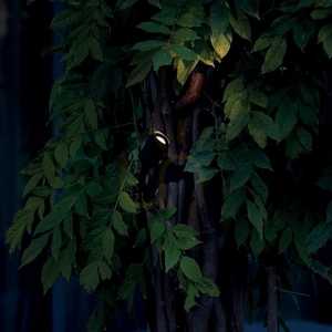 Kültéri fali lámpa Ideallux KOALA fekete LED 7W 345666 2 Kültéri fali lámpa Ideallux KOALA fekete LED 7W 345666 small 2