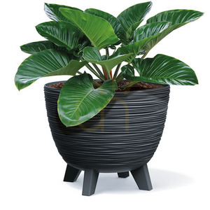 Prosperplast Furu világosszürke fagyálló virágcserép 5 l 23,6 cm DFUR240-443U small 2