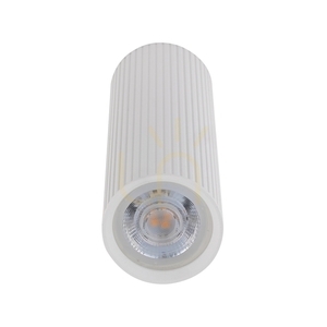 Tune White M small 4