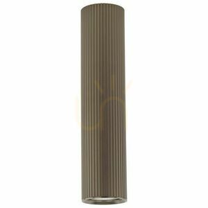 Tune Brown L 1 Xgu10 small 5