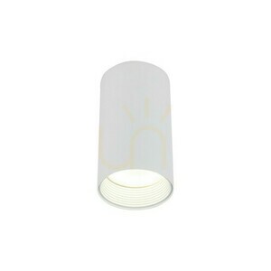 Amis Fehér Downlight small 8