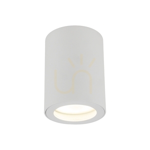 Ligno White Gu10 small 5