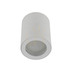 Ligno White Gu10 small 6