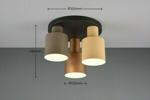 Plafond Trió ELIOR DL317619430 small 4