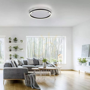 Plafond RITUS 15391-13 antracit 1xLED small 13