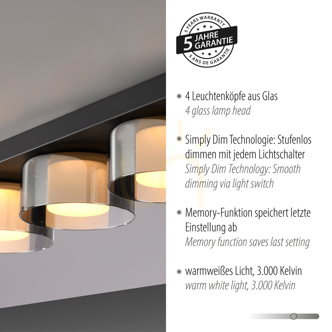 Előadás Plafond RIKA 6164-18 Fekete 4xLED Plafond RIKA 6164-18 Fekete 4xLED