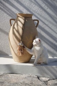 BAZAR BIZAR Raffia Lupina Natural dekoratív bojtos dísz raffiából és kagylóból 45 cm small 1
