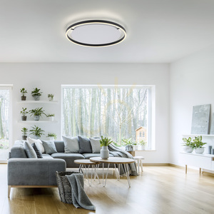 Plafond RITUS 15392-13 antracit 1xLED 2 Plafond RITUS 15392-13 antracit 1xLED small 2