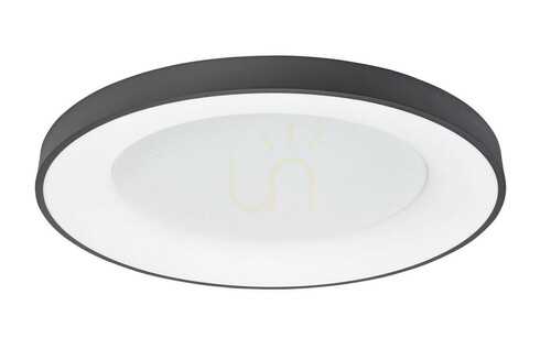 Jelölje be TOME Luces Exclusivas Plafond LE41523