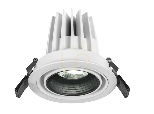 Jelölje be ZALAMEA Luces Exclusivas mennyezeti lencse LE61349