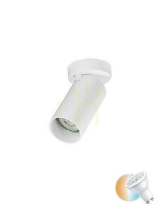 CORENZO Modern lámpa a Luces Exclusivas LE45648-tól 0 CORENZO Modern lámpa a Luces Exclusivas LE45648-tól small 0