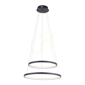 CIRCLE függőlámpa 11525-13 Antracit 2xLED small 6