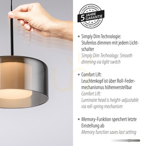 Paul Neuhaus RIKA 2112-18 LED függőlámpa, fekete, füstszínű búrával, 15 cm small 4