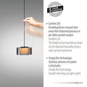 Zuma Line RIKA 2113-18 fekete/smoky LED függőlámpa, 20 W, 71 cm 4 Zuma Line RIKA 2113-18 fekete/smoky LED függőlámpa, 20 W, 71 cm small 4