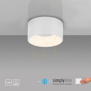 Zuma Line Tanika 14325-16 fehér LED mennyezeti lámpa, 14 W, 16 cm small 8
