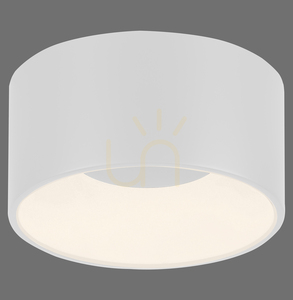 Zuma Line Tanika 14325-16 fehér LED mennyezeti lámpa, 14 W, 16 cm small 0
