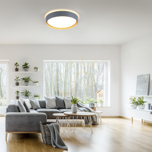 EMILIA 14347-15 LED mennyezeti lámpa, szürke, Ø 40 cm, fényerőszabályozható small 2