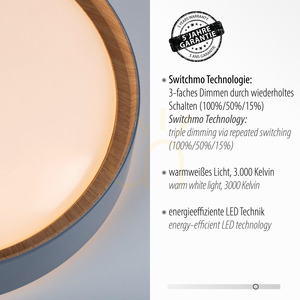 EMILIA 14347-15 LED mennyezeti lámpa, szürke, Ø 40 cm, fényerőszabályozható small 3