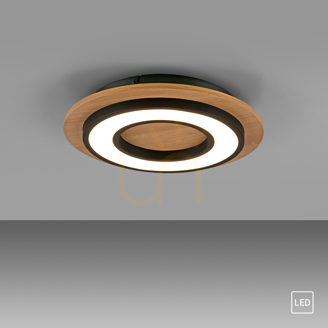 Kilátás TOLA plafond 14560-18 Fekete 1xLED TOLA plafond 14560-18 Fekete 1xLED