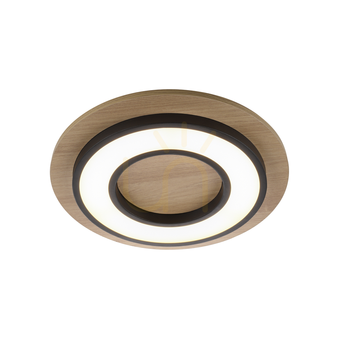 Előnézet TOLA plafond 14560-18 Fekete 1xLED TOLA plafond 14560-18 Fekete 1xLED