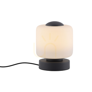 BOTA asztali lámpa 4037-13 antracit 1xLED small 1