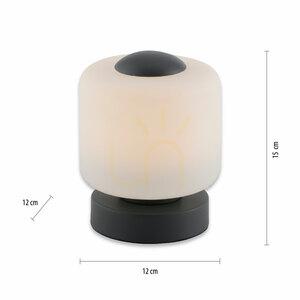 BOTA asztali lámpa 4037-13 antracit 1xLED small 7