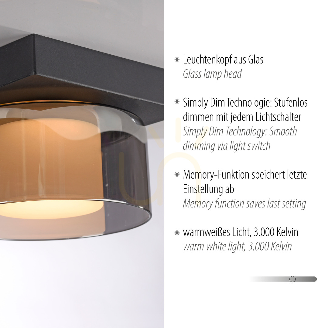 Kijelző Plafond RIKA 6162-18 fekete 1xLED Plafond RIKA 6162-18 fekete 1xLED