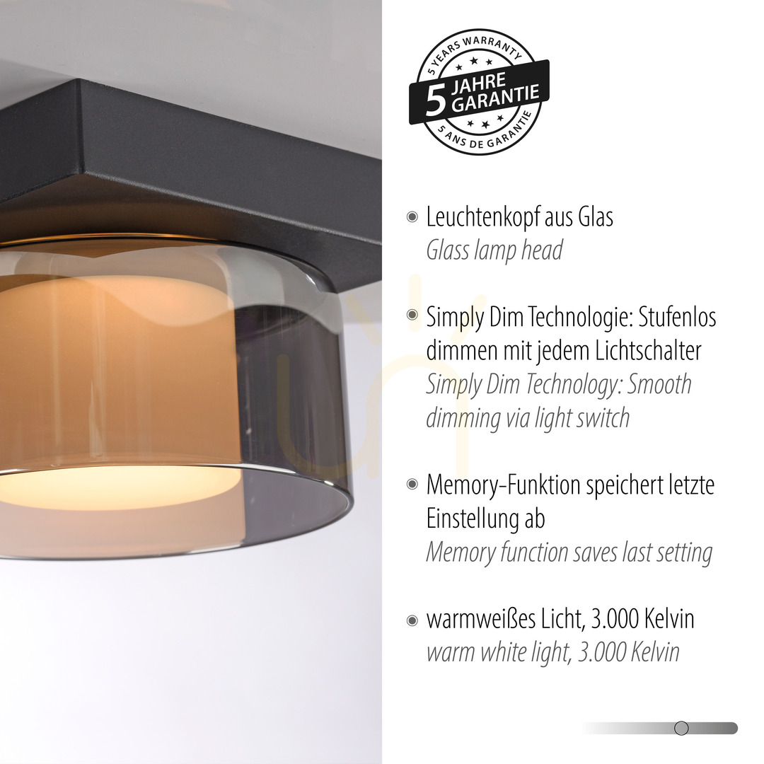 Előadás Plafond RIKA 6162-18 fekete 1xLED Plafond RIKA 6162-18 fekete 1xLED