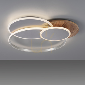 Paul Neuhaus PALMA 8328-79 LED mennyezeti lámpa, fa dekor, 55 W 2700–5000 K, fényerőszabályozható, távirányítóval small 9